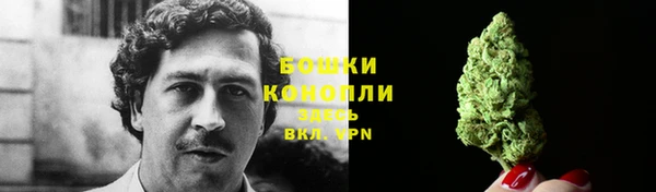 прущие крисы Богданович