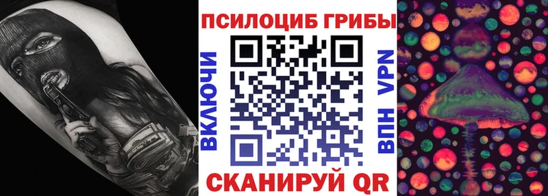 Псилоцибиновые грибы Magic Shrooms  цена   Буй 